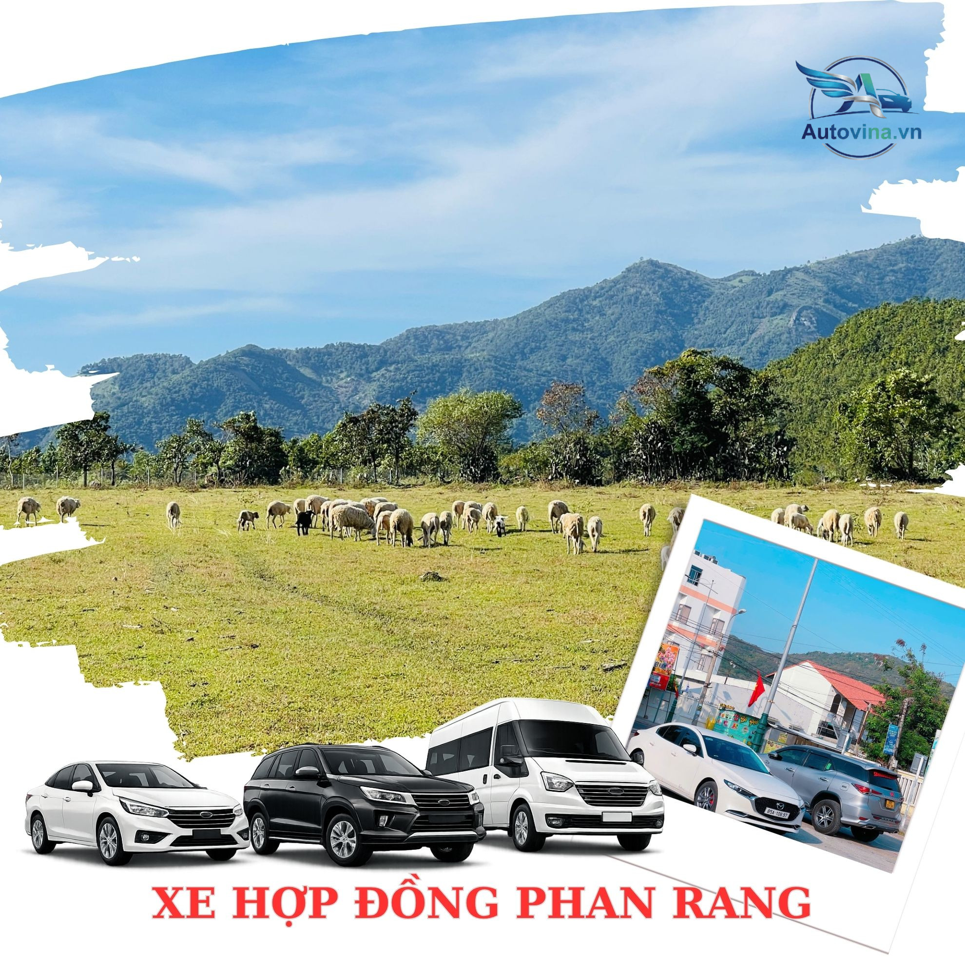 Đội ngũ tài xế bản địa thân thiện, luôn hỗ trợ khách hàng chu đáo từ lúc đón đến khi kết thúc chuyến đi.