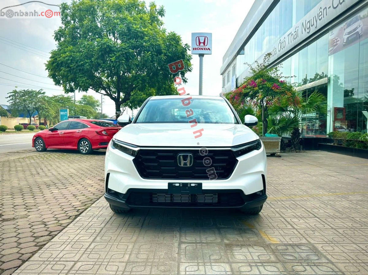 Bán ô tô Honda CRV G - 2024 - xe mới